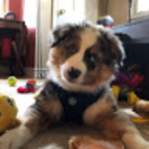 Meet your Posher, 2021_dori anne